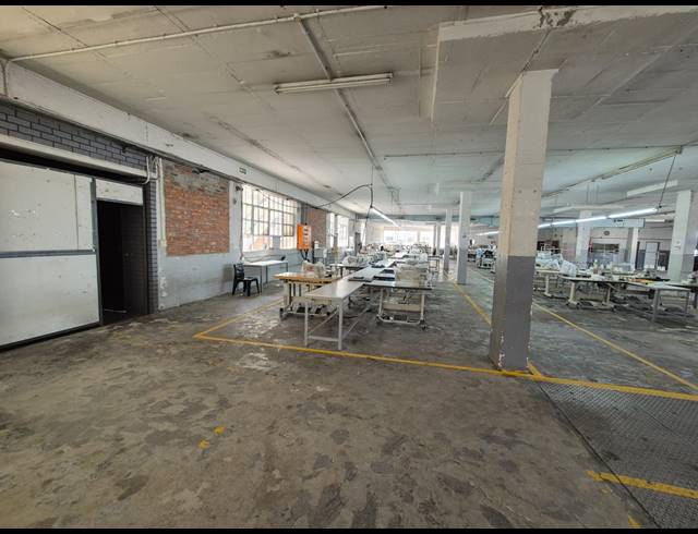 4,000M² WAREHOUSE TO LET IN ELSIES RIVER INDUSTRIAL